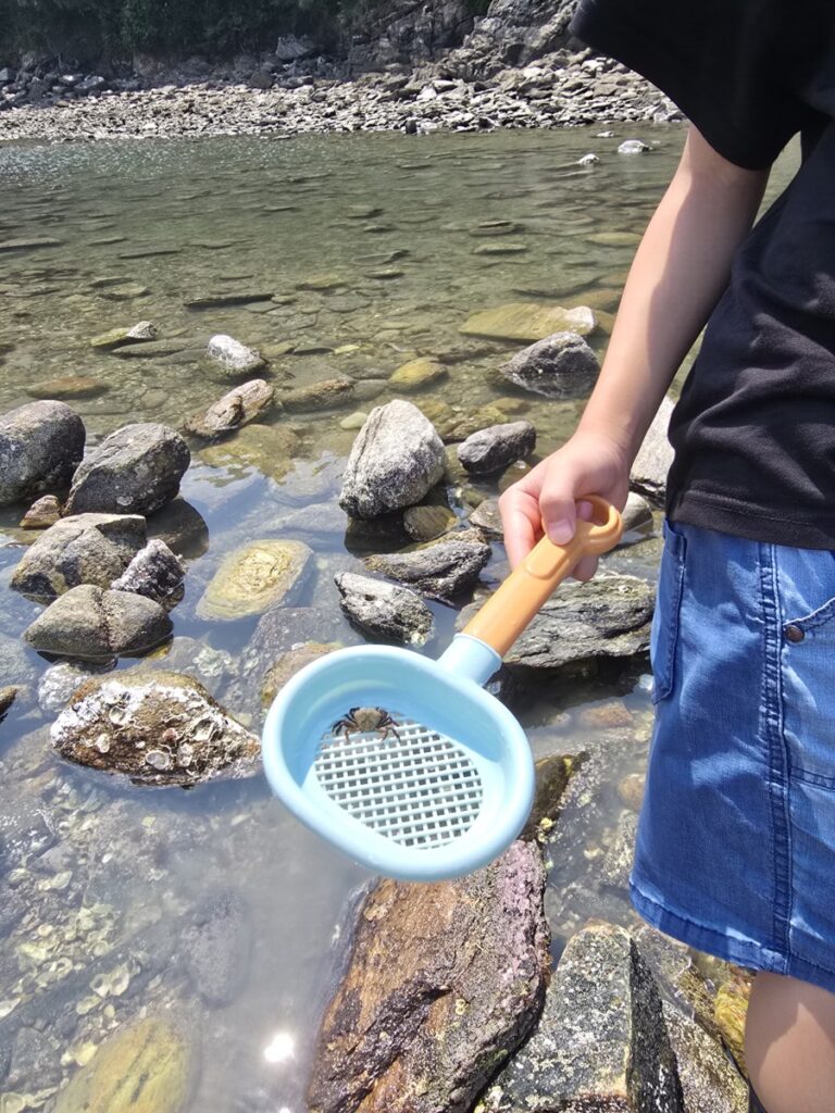 민어도해변 아이랑