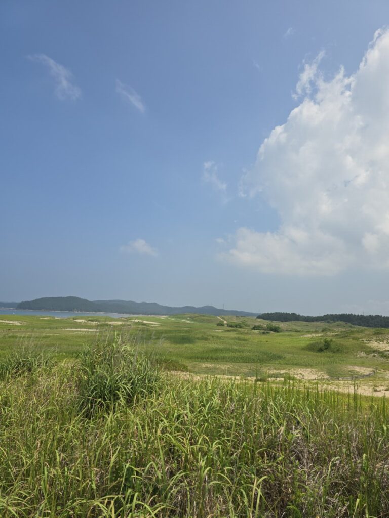 신두리해안사구