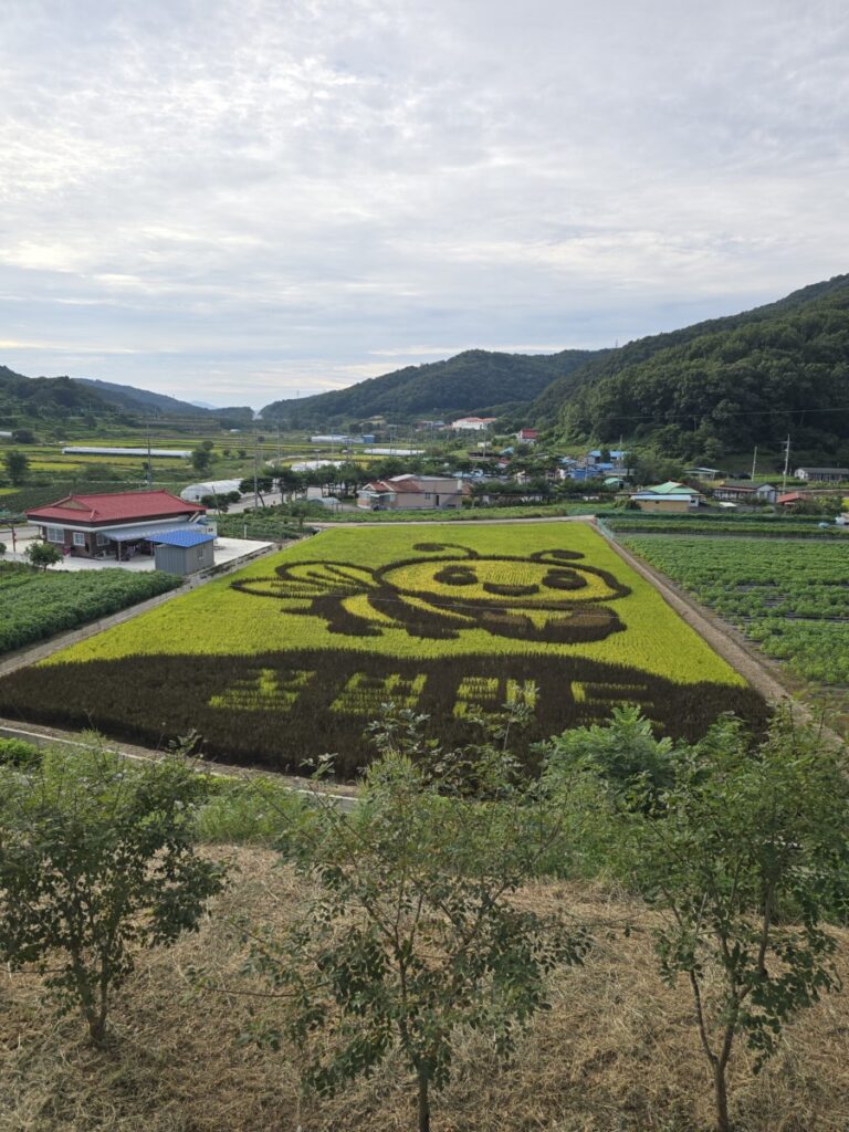 꿀벌랜드
